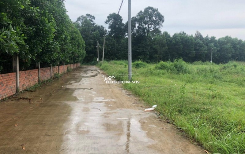 Sang nhượng gấp lô đất tại mặt tiền đường Lý Thái Tổ, xã Long Tân, huyện Nhơn Trạch, tỉnh Đồng Nai.